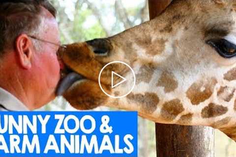 Best Zoo and Farm Animal Moments 2018 | Funny Reactions | Cute Critters TV