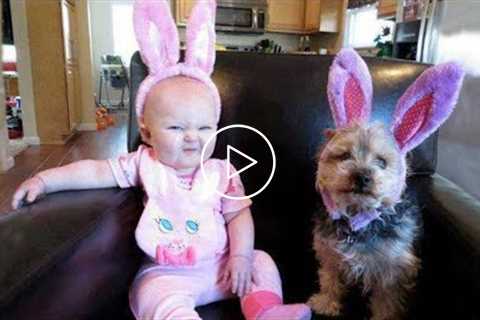 Dog and baby make a complete home  -  Dogs And Babies Are Best Friends