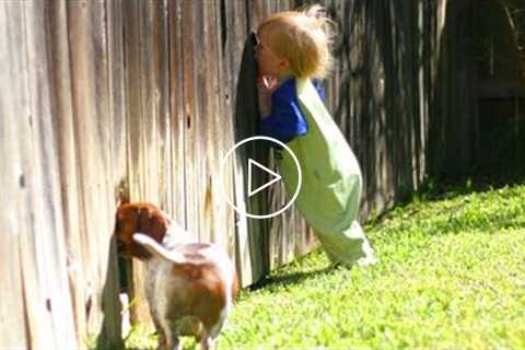 Adorable Puppies Love Babies Compilation ? A Cute Puppy ?and Baby? Videos 2021 #2