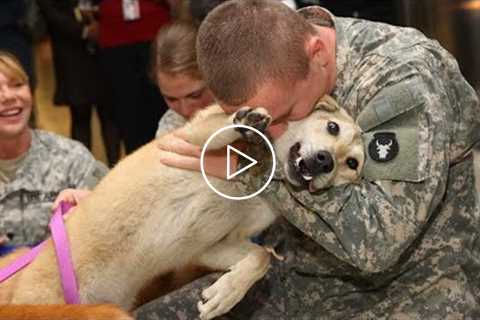 Here’s Why There's Nothing Better Than Coming Home To Your Dog ? Funny Dogs video