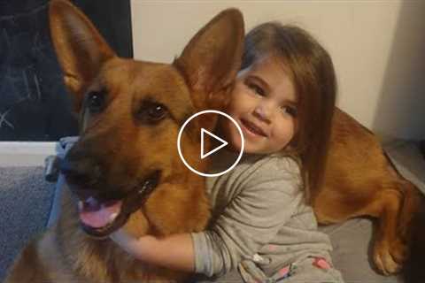 AWESOME Dog ? German Shepherd Dog is the best choice to best friend of Kids ? Cute Baby and Dog