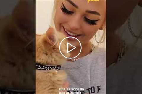 Show Us Your Pets! Episode Premiere with Loren Gray! ???