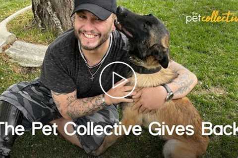 Helping A Marine Corps Vet & His Service Dog | The Pet Collective Gives Back