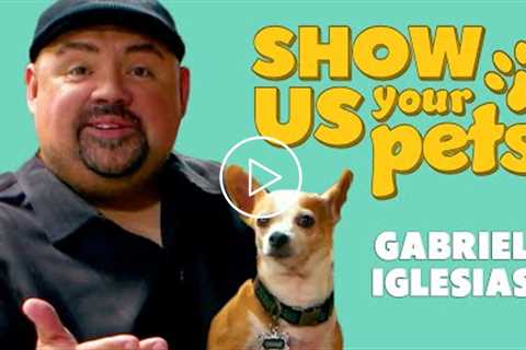 Meet Gabriel Iglesias’ Pets | Show Us Your Pets