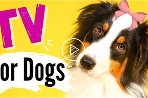 TV for Dogs! Relax Your Dog | Calm Anxiety | CUTE Dogs ?