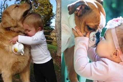 Baby and Puppy are Best Friend ? Nothing is Cuter than Baby Playing with Dog