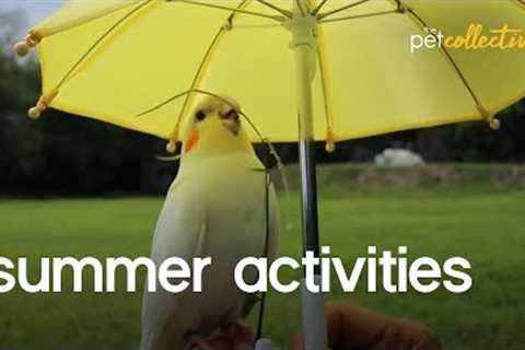 Fun Summer Activities