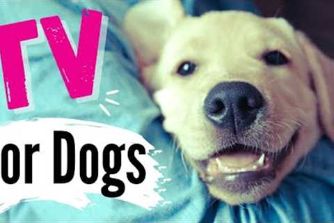 TV for Dogs | Dog Entertainment | Dog CUDDLES  | ?? Videos for Dogs | 4K Dog TV