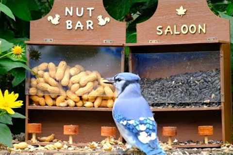 TGIF Nut Bar Part 2 - September 17, 2021