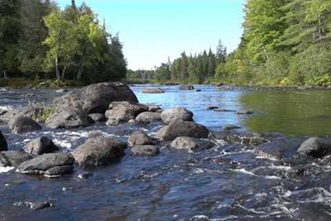 10 Hours of Beautiful River Scenery - Soothing Sounds of Water - Sept 26, 2021