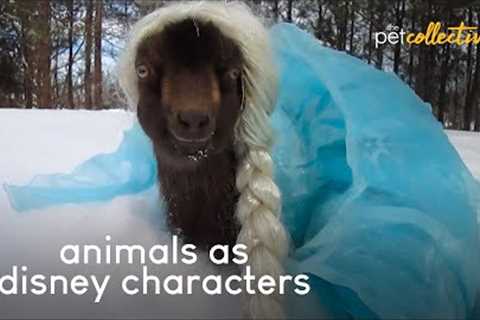 50 Animals As Disney Characters