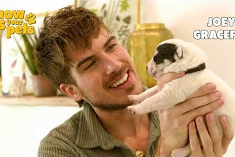 Meet Joey Graceffa's 11 Foster Puppies | Show Us Your Pets