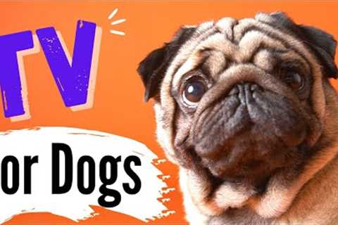 TV for Dogs | Dog Entertainment | PUGS AT PLAY✨ | Dog TV - Dogs Playing ?