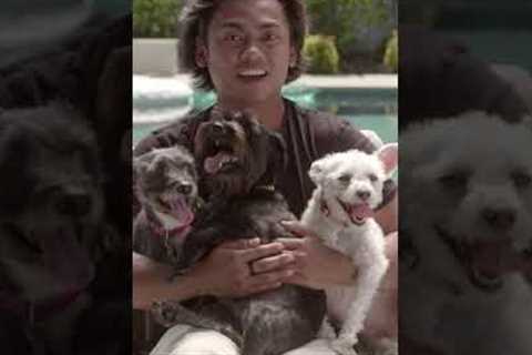 Today! Meet these adorable pups. @guavajuice and his favorite charity @theanimalprotectorates