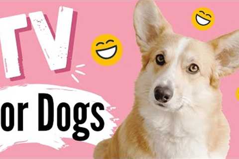 TV for Dogs | Dog Entertainment |?HAPPY DOGS?| Videos for Dogs To Watch | Dog TV