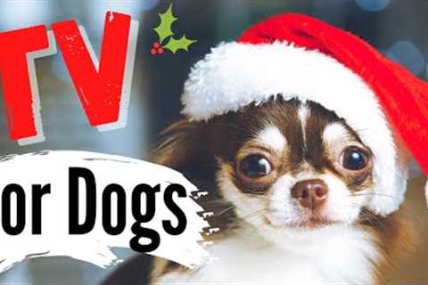 TV for Dogs | ??HOLIDAY DOGS❄| Dog Entertainment | Videos for Dogs To Watch