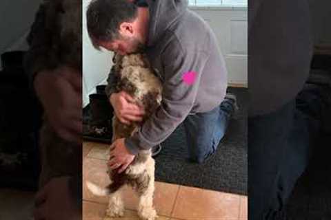 Dog Hugs Owner Goodbye at the Door as He Gets Ready to Head Out