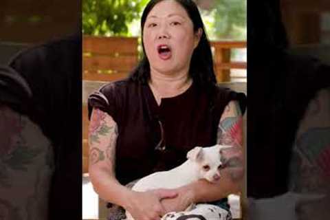 Margaret Cho’s Pet Palace is Unreal! ???