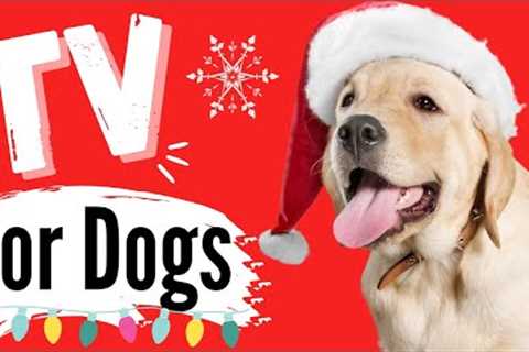 TV for Dogs | ? CHRISTMAS DOGS? | Dog Entertainment | Videos for Dogs To Watch | Dog TV