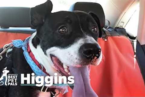 Rescue Dog Becomes School Hero | America's Best Pet Pals