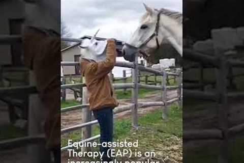 Horse Therapy Has Incredible Benefits!