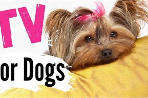 TV for Dogs | ☁COZY DOGS☁ |Dog Entertainment | Videos for Dogs To Watch | Dog TV