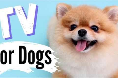 TV for Dogs | ❤FRIENDLY DOGS & Relaxing Music? |Dog Entertainment | Videos for Dogs To Watch