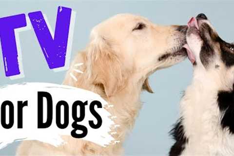 TV for Dogs | DOG KISSES?? |Dog Entertainment | Videos for Dogs To Watch (SUPER CUTE)