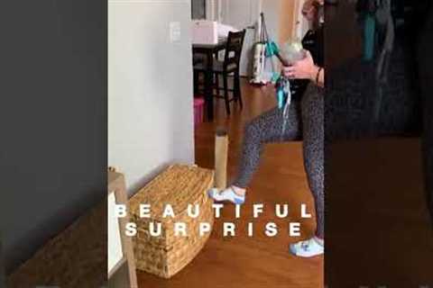 Woman Gives Priceless Reaction After Her Sister Surprises Her With Kitten