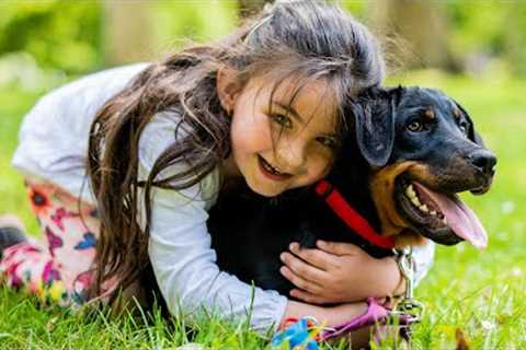 Best Dogs for Families with kids | Funny Pet Videos