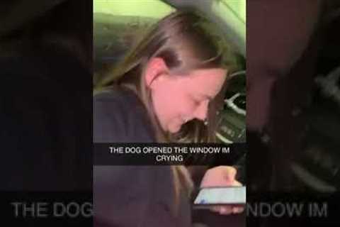 Dog Opened Window During Car Wash #shorts