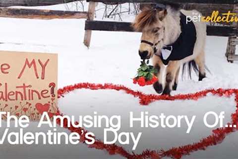 The Amusing History Of... Valentine's Day!