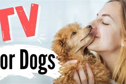 TV for Dogs | Dog Kisses ?| Videos For Dogs To Watch | With Narration