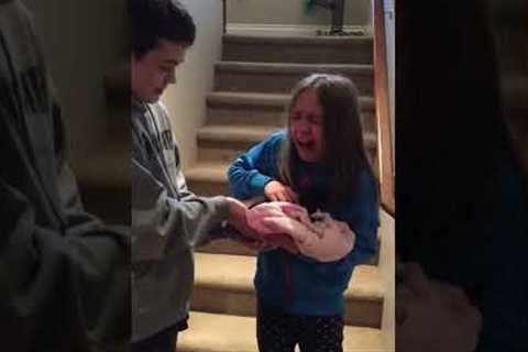 Girl Cries Tears of Joy After Getting New Kitten