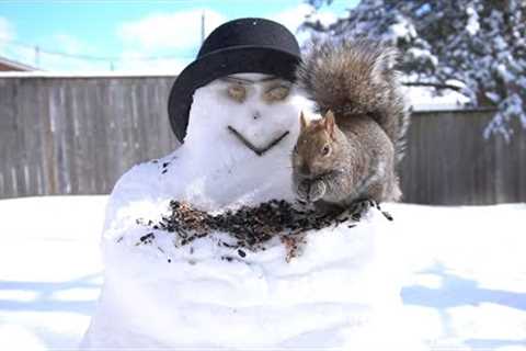 10 Hours - The Snowman and the Squirrel - March 7, 2022