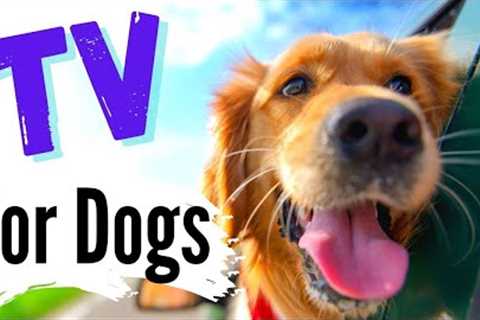 TV for Dogs | Dog Car Rides ??| Fun Entertainment for Dogs | With Narration