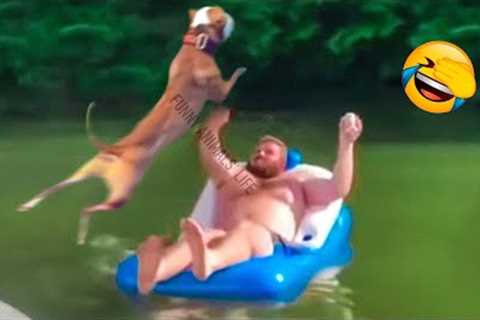 Best Funny Animal Videos 2022 and 2021 ? - Funniest Dogs And Cats Videos ?