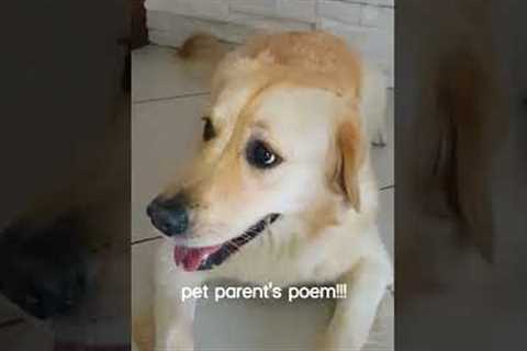 Adorable Dog Sings Along With Pet Parent! #Shorts