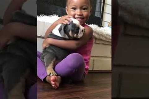 Hilarious Little Girl Snuggles Puppy! #Shorts