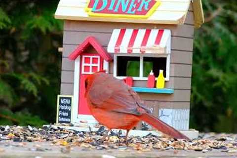 10 Hours - Breakfast at the Diner - April 18, 2022