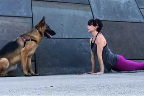 Should You Do Yoga With Your Pet? | Pet Pointers