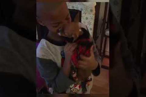 This Dog Adoption Will Make You Cry Happy Tears! #Shorts