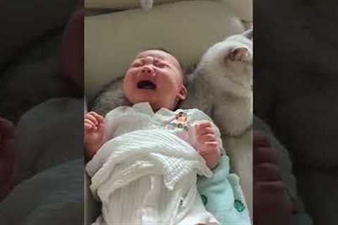 Adorable Kitten Soothes Crying Baby! #Shorts