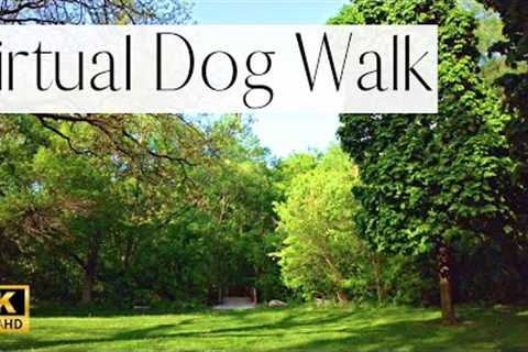 4K VIRTUAL DOG WALK- Wandering Through A GORGEOUS Toronto Park🌿 | Fun Entertainment For Dog's