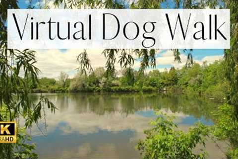 4K VIRTUAL DOG WALK- Calming Pond and Nature Trail at York University | Fun Entertainment For Dog's