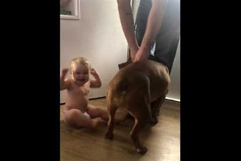 Adorable Baby & Pup Welcome Dad Home! #Shorts