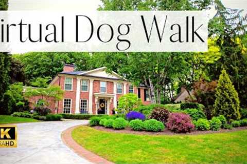 4K VIRTUAL DOG WALK: Explore Million Dollar Homes | Royal York, Toronto | Dog TV