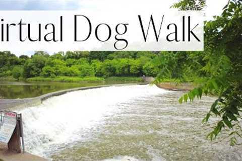 4K VIRTUAL DOG WALK: Gorgeous WATERFALL, Hiking Trail and Calming Nature Sounds | Dog TV