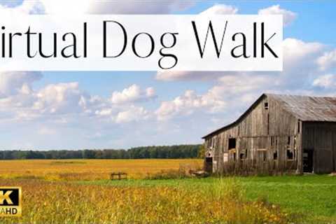 4K VIRTUAL DOG WALK- Calming Countryside Dog Walk🌾 | TV for Dogs (Original Nature Sounds)