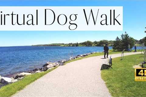 4K VIRTUAL DOG WALK- Relaxing Waterfront Trail on a Windy Day | TV for Dogs